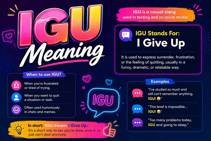 IGU Meaning