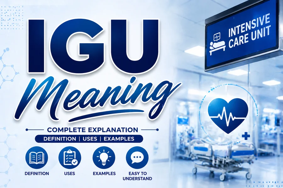 IGU Meaning